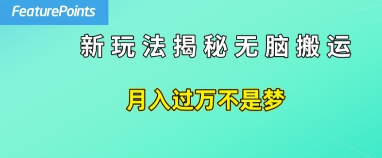 简单操作，每天50美元收入，搬运就是赚钱的秘诀【揭秘】-狼哥资源库