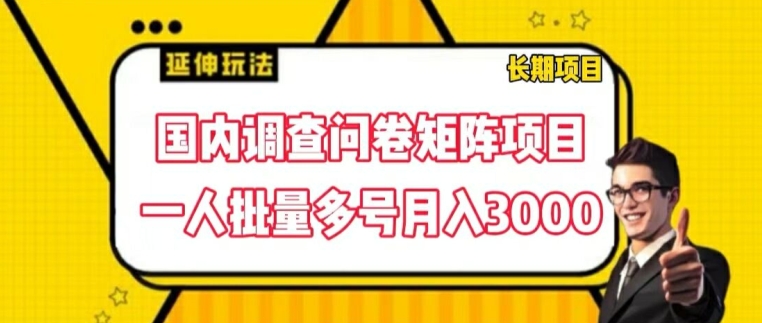 国内调查问卷矩阵项目，一人批量多号月入3000【揭秘】-狼哥资源库