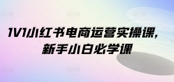 1V1小红书电商运营实操课，新手小白必学课-狼哥资源库