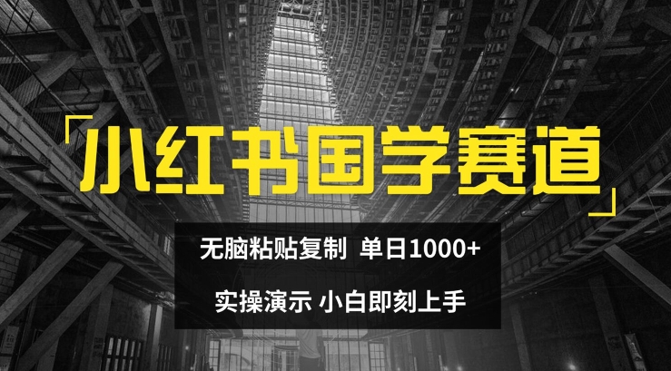 小红书国学赛道，无脑粘贴复制，单日1K，实操演示，小白即刻上手【揭秘】-狼哥资源库