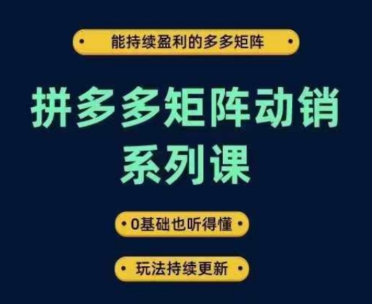 拼多多矩阵动销系列课，能持续盈利的多多矩阵，0基础也听得懂，玩法持续更新-狼哥资源库