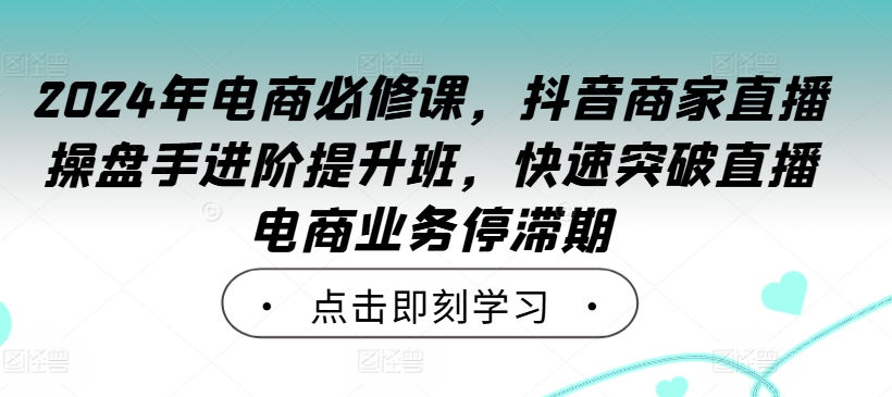 2024年电商必修课，抖音商家直播操盘手进阶提升班，快速突破直播电商业务停滞期-狼哥资源库