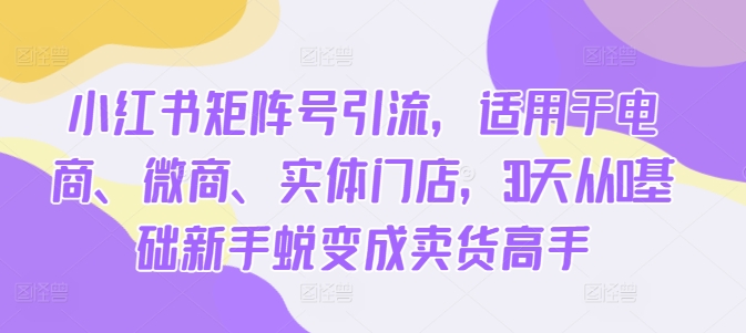 小红书矩阵号引流，适用于电商、微商、实体门店，30天从0基础新手蜕变成卖货高手-狼哥资源库