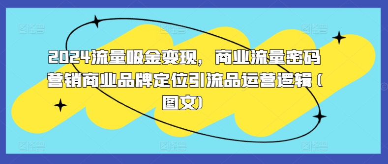 2024流量吸金变现，商业流量密码营销商业品牌定位引流品运营逻辑(图文)-狼哥资源库