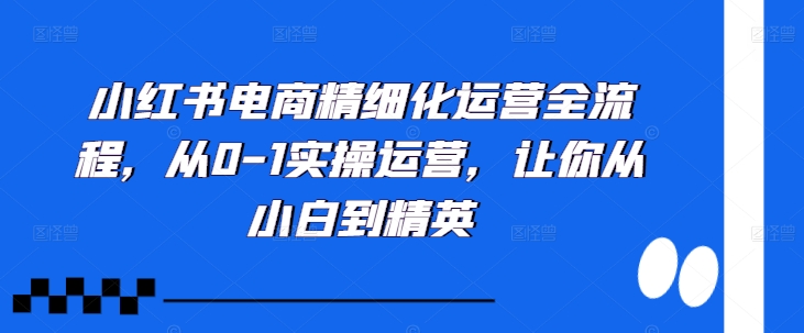 小红书电商精细化运营全流程，从0-1实操运营，让你从小白到精英-狼哥资源库