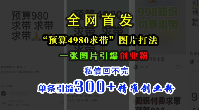 小红书“预算4980带我飞”图片打法，一张图片引爆创业粉，私信回不完，单条引流300+精准创业粉-创业项目致富网、狼哥项目资源库