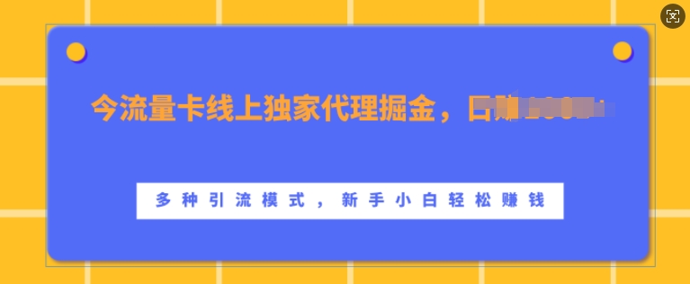 流量卡线上独家代理掘金，日入1k+ ，多种引流模式，新手小白轻松上手【揭秘】-创业项目致富网、狼哥项目资源库