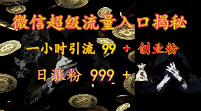 微信超级流量入口揭秘：一小时引流 99 + 创业粉，日涨粉 999 +-创业项目致富网、狼哥项目资源库