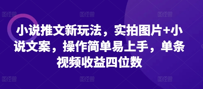 小说推文新玩法，实拍图片+小说文案，操作简单易上手，单条视频收益四位数-创业项目致富网、狼哥项目资源库