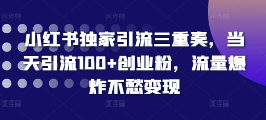 小红书独家引流三重奏，当天引流100+创业粉，流量爆炸不愁变现【揭秘】-创业项目致富网、狼哥项目资源库