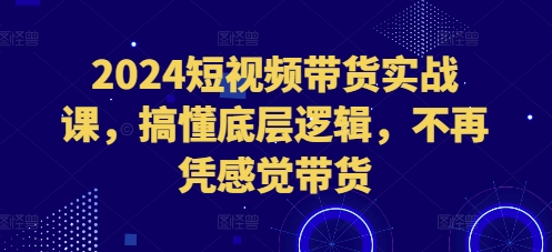 2024短视频带货实战课，搞懂底层逻辑，不再凭感觉带货-创业项目致富网、狼哥项目资源库