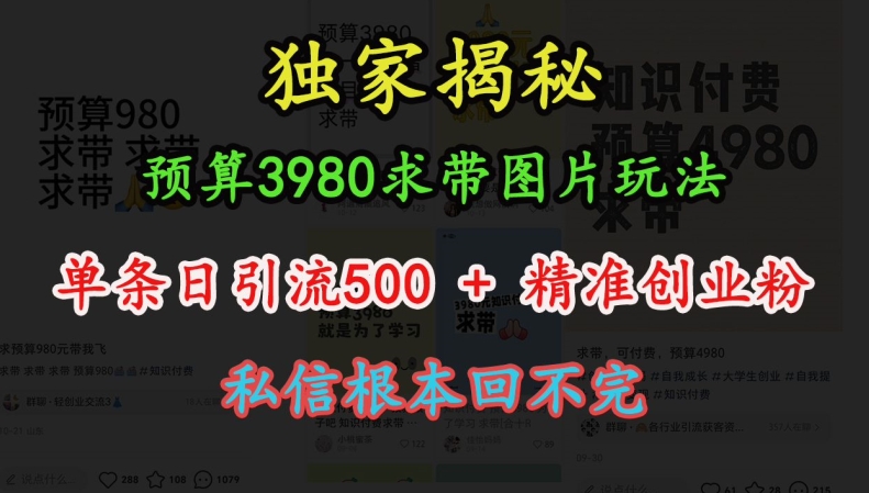 预算3980求带 图片玩法，单条日引流500+精准创业粉，私信根本回不完-创业项目致富网、狼哥项目资源库