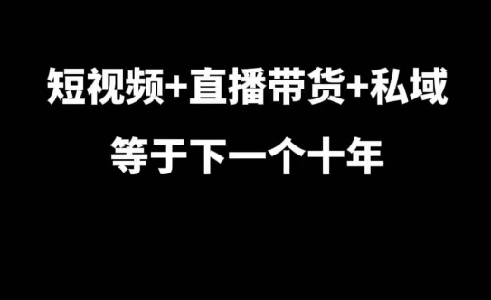 短视频+直播带货+私域等于下一个十年，大佬7年实战经验总结-创业项目致富网、狼哥项目资源库