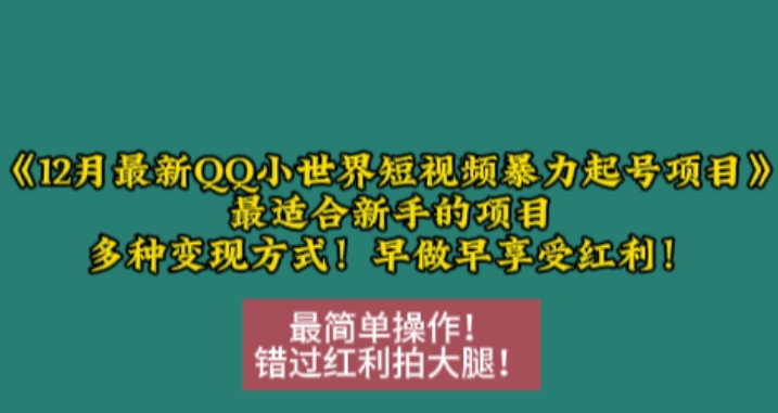 12月最新QQ小世界短视频暴力起号项目，最适合新手的项目，多种变现方式-创业项目致富网、狼哥项目资源库