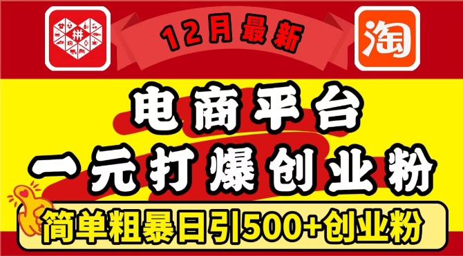 12月最新：电商平台1元打爆创业粉，简单粗暴日引500+精准创业粉，轻松月入过W【揭秘】-创业项目致富网、狼哥项目资源库