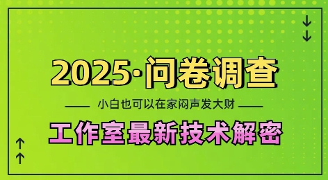 2025问卷调查最新工作室技术解密：一个人在家也可以闷声发大财，小白一天2张，可矩阵放大【揭秘】-创业项目致富网、狼哥项目资源库