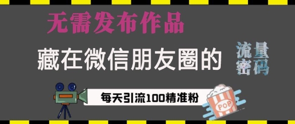 藏在微信朋友圈的流量密码，无需发布作品，单日引流100+精准创业粉【揭秘】-创业项目致富网、狼哥项目资源库