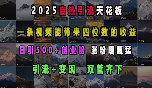 2025自热引流天花板，一条视频能带来四位数的收益，引流+变现双管齐下，日引500+创业粉，涨粉嘎嘎猛-创业项目致富网、狼哥项目资源库