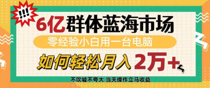 6亿群体蓝海市场，零经验小白用一台电脑，如何轻松月入过w【揭秘】-创业项目致富网、狼哥项目资源库