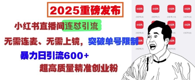 2025重磅发布：小红书直播间连怼引流，无需连麦、无需上镜，突破单号限制，暴力日引流600+-创业项目致富网、狼哥项目资源库