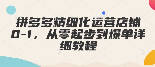 拼多多精细化运营店铺0-1，从零起步到爆单详细教程-创业项目致富网、狼哥项目资源库