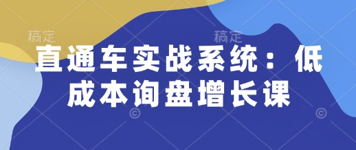 直通车实战系统：低成本询盘增长课，让个人通过技能实现升职加薪，让企业低成本获客，订单源源不断-创业项目致富网、狼哥项目资源库