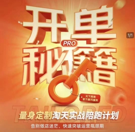 淘宝开单秘籍PRO，量身定制淘天实战陪跑计划，告别做店迷茫、快速突破运营瓶颈期-创业项目致富网、狼哥项目资源库