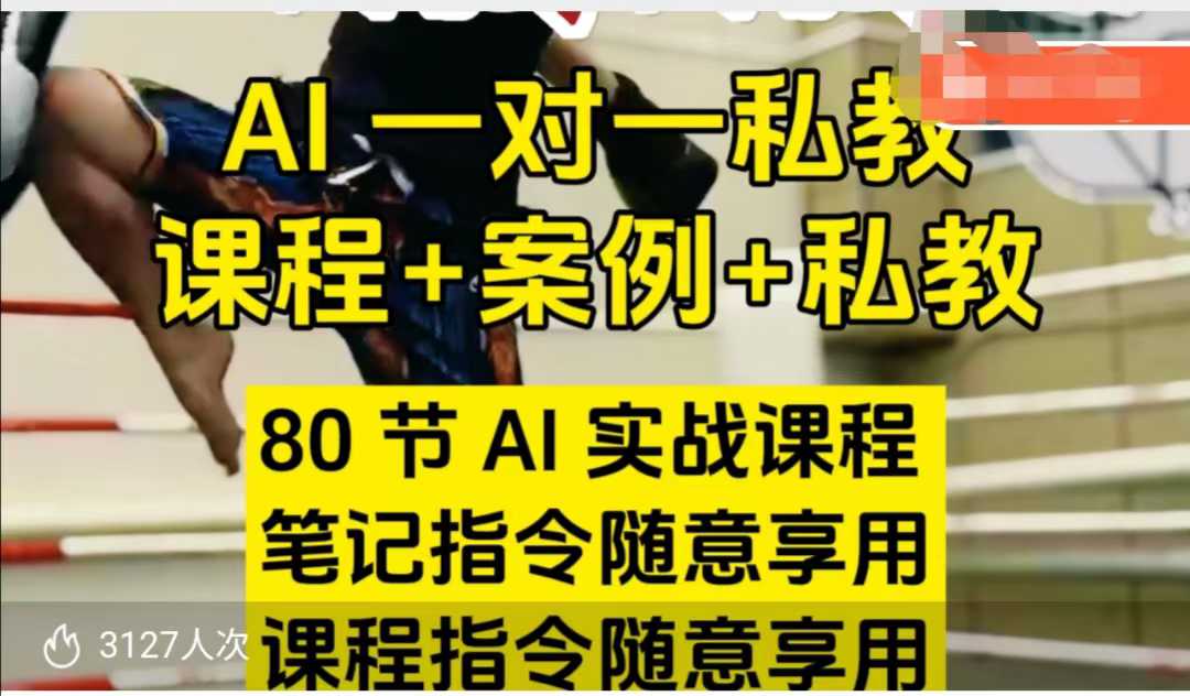 AI指令实战课，课程+案例，80节AI实战课程，笔记指令随意享用，课程指令随意享用-创业项目致富网、狼哥项目资源库