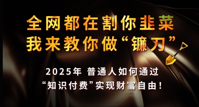 全网都在割你韭菜，我来教你做镰刀，2025年普通人如何通过 知识付费 实现财F自由【揭秘】-创业项目致富网、狼哥项目资源库