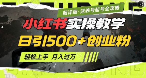 2月小红书最新日引500+创业粉实操教学【超详细】小白轻松上手，月入1W+，附小红书养号起号SOP-创业项目致富网、狼哥项目资源库