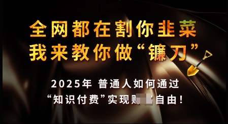 知识付费如何做到月入过W+，2025我来教你做“镰刀”【揭秘】-创业项目致富网、狼哥项目资源库