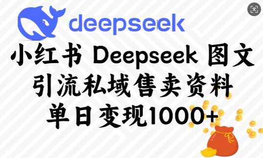 小红书Deepseek图文引流私域售卖资料，单日变现多张-创业项目致富网、狼哥项目资源库