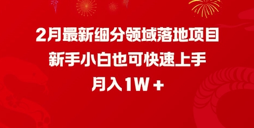 2月最新细分领域落地项目，新手小白也可快速上手，月入1W-创业项目致富网、狼哥项目资源库