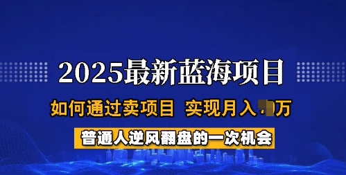 2025蓝海项目，普通人如何通过卖项目，实现月入过W，全过程【揭秘】-创业项目致富网、狼哥项目资源库