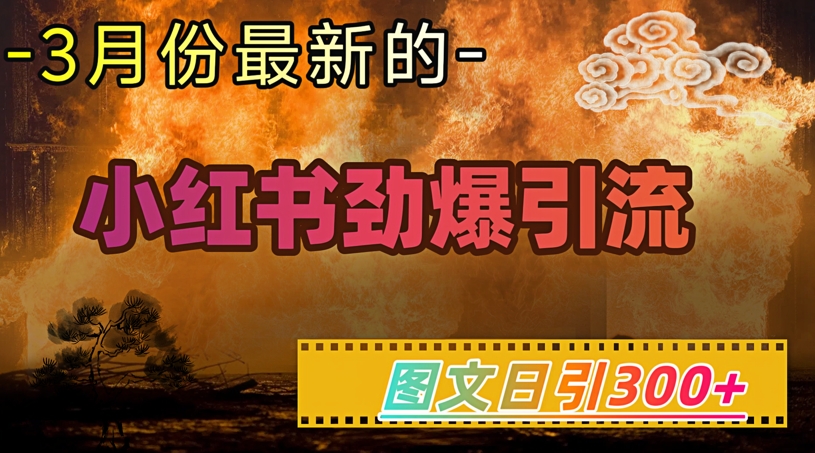 小红书超劲爆引流手段，图文日引300+轻松变现1W-创业项目致富网、狼哥项目资源库