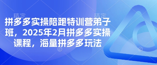 拼多多实操陪跑特训营弟子班，2025年2月拼多多实操课程，海量拼多多玩法-创业项目致富网、狼哥项目资源库